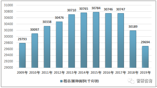 2019年全球及中国稻谷和大米生产情况统计分析